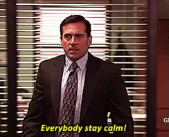 Everybody Stay Calm! GIF - The Office Steve Carell Michael Scott - Discover  & Share GIFs