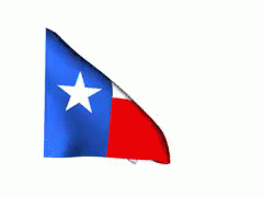 Image result for texas flag and rainbow gif