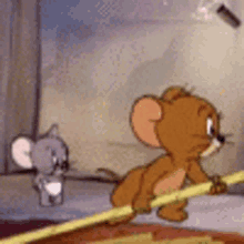Tom Jerry Nibbles Gifs Tenor