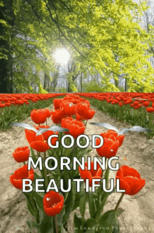 Good Morning Beautiful Flowers GIF - GoodMorningBeautiful Flowers Sparkles GIFs