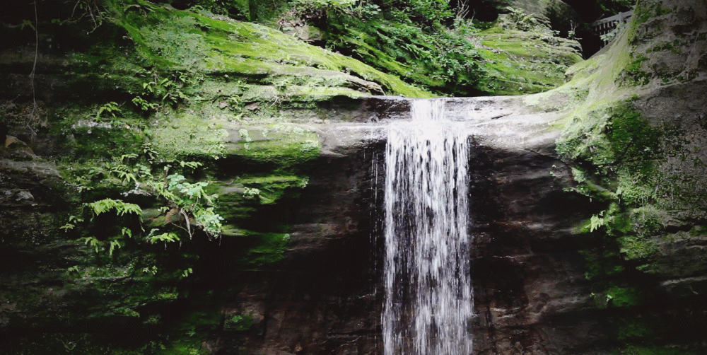 Lower In Mattheissen State Park GIF - OC Cinemagraph Water - Discover & Share GIFs