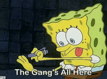 The Gang's All Here gif