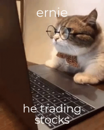 untitled.gif