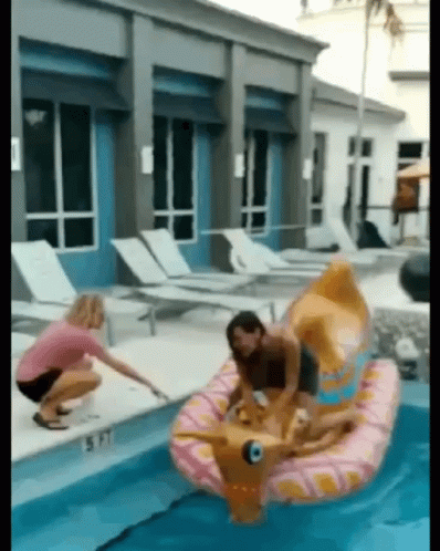 Dog float pool