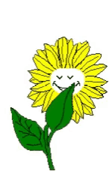 Sunflower GIFs | Tenor