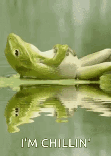 Chillin Frogs GIF - Chillin Frogs Relaxing GIFs