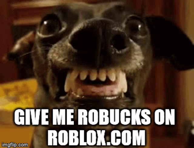Robux Roblox Gif Robux Roblox Dog Discover Share Gifs - roblox dog