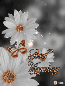 Good Morning Flowers GIF - GoodMorning Flowers Butterflies GIFs