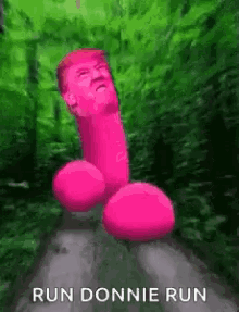 funny picture