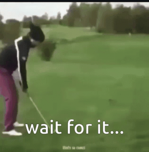 untitled.gif