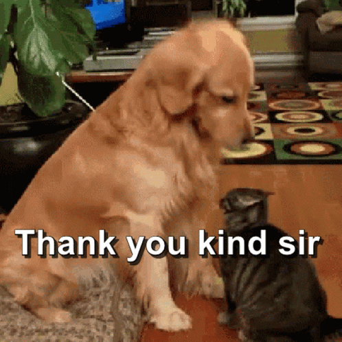 untitled.gif