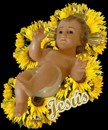 El Niño Dios En Pesebre De Flores GIF - Nino Dios Pesebre Jesus - Discover  & Share GIFs