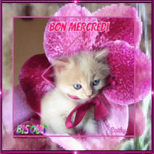 Bon Mercredi GIF - BonMercredi - Discover &amp; Share GIFs