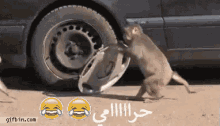قرد حرامي عربيات مواقف كوميدية سرقة عجل دولاب GIF - Monkey Cars Tires GIFs
