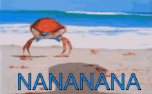 Caranguejo Bunda Propaganda Nananana GIF - Crab Butt Advertise GIFs