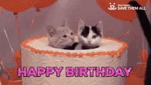 Featured image of post Happy Birthday Cats Gif Funny Prev next 1 of 37