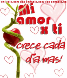 wallpapers Gif Tenor Te Amo te amo te amo gifs tenor