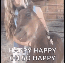 Horse Laugh Happy Horse GIF - HorseLaugh HappyHorse Horse GIFs