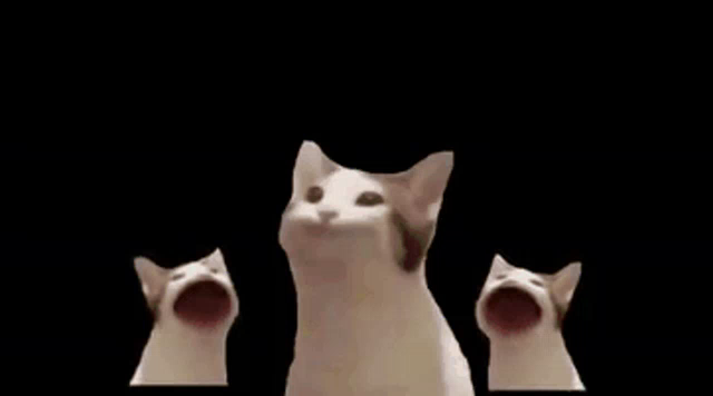 Pop Cat Meme Gif Png - Cat Meme Gifs Tenor : They must be ...