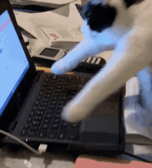Cat Typing GIFs | Tenor