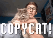 Image result for copycat gifs