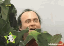 Creepy Guy Behind Plant GIF - CreepyGuy BehindPlant Hide - Discover & Share  GIFs