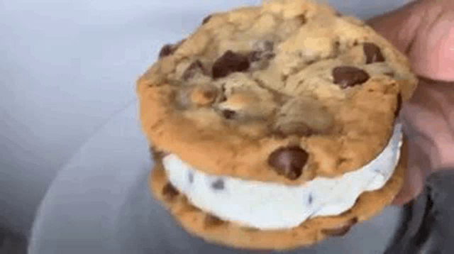 I also crave a chocolate chip cookie ice cream sandwich. haven't decid...