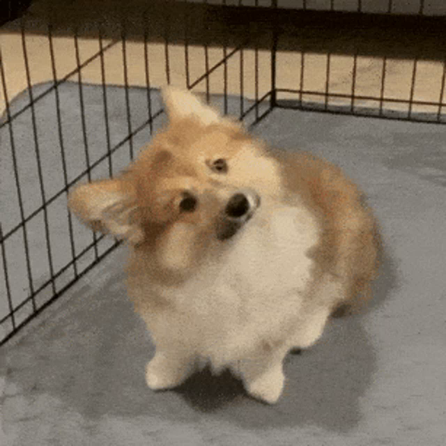 Post reply image