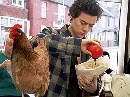 Styles Gucci Tailoring Campaign GIF - Harry Styles Gucci Tailoring Campaign Chicken - Discover & Share GIFs
