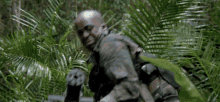 tenor.gif