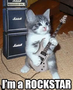 I M A Rockstar Gif Rockstar Guitar Cat Discover Share Gifs