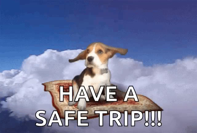 safe trip meme