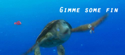 Finding Nemo Fin Noggin Dude Gifs Tenor