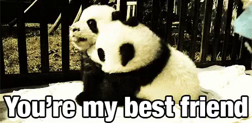 bestfriend gifs tenor raw bestfriend gifs tenor