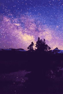 Starry Night GIFs | Tenor