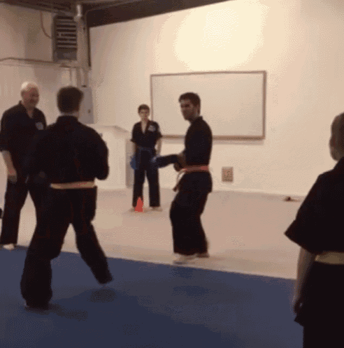 Fail Martial GIF - Fail Martial Arts - Discover & Share GIFs
