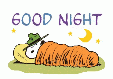 Snoopy Good Night GIF - Snoopy GoodNight - Discover & Share GIFs