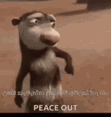 tenor.gif