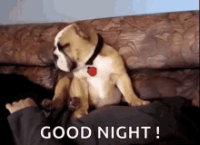 Night GIFs | Tenor