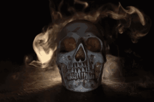 tenor.gif (498×330) | Art, Skull, Image