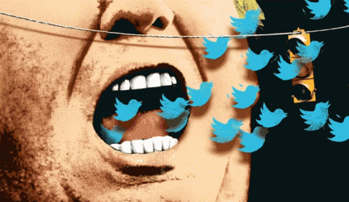 Trump Tweet GIF - Trump Tweet GIFs