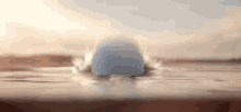 [PokeCommunity.com] Guess the next user to post!
