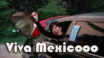 vivamexico