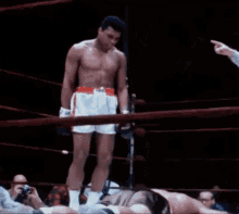 Float Like A Butterfly Sting Like A Bee Muhammad Ali Gif Muhammadali Ali Butterfly Discover Share Gifs