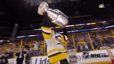 Image result for penguins stanley cup gif