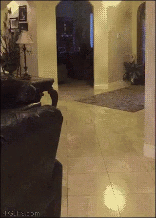 untitled.gif