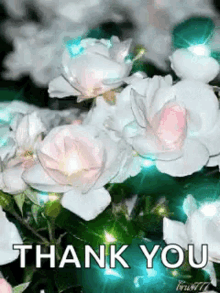 Thank You Flowers Gifs Tenor