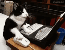Mouse Cat Game Gifs Tenor