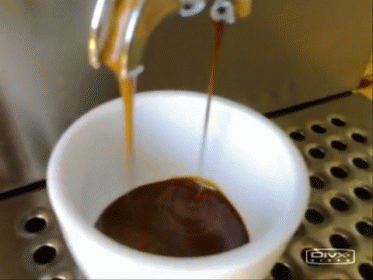 expresso cookie gif