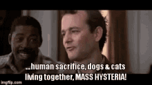 Cats And Dogs Living Together GIFs | Tenor